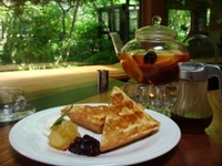 涼を求めて 2011/07/05 12:00:00