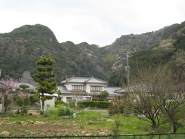 引越し
