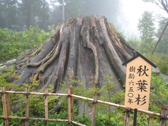 雨の中