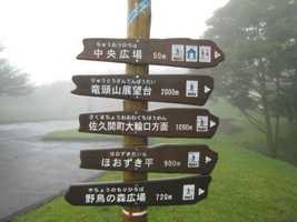 雨の中