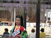撮影会