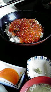 いくら丼