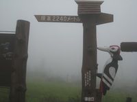 信州の旅