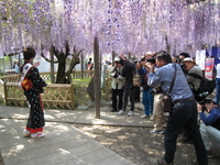 池田の渡船まつり