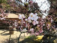 島根から帰宅☆