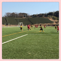 サッカーの応援 2015/01/11 21:35:47