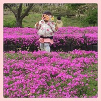 あらさわ公園 2015/04/22 20:59:30