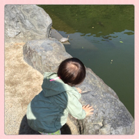 また散歩 2015/04/02 11:28:43