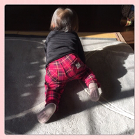 ハイハイと隔離。 2015/01/10 10:42:45