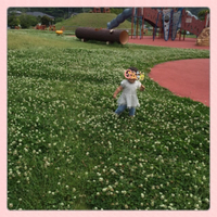 公園 2015/06/02 20:16:23