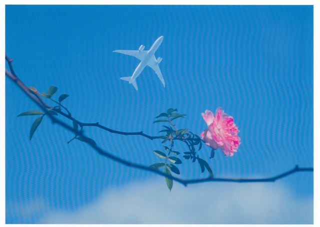 冬の空