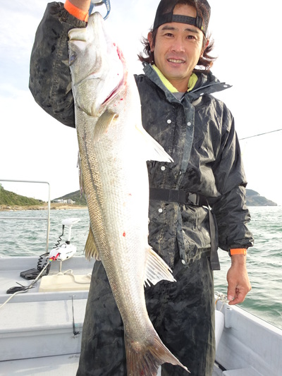 シーバス釣り