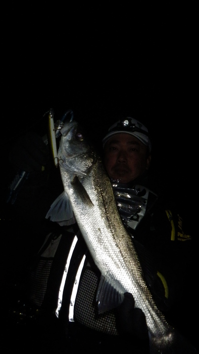 久しぶりの浜名湖