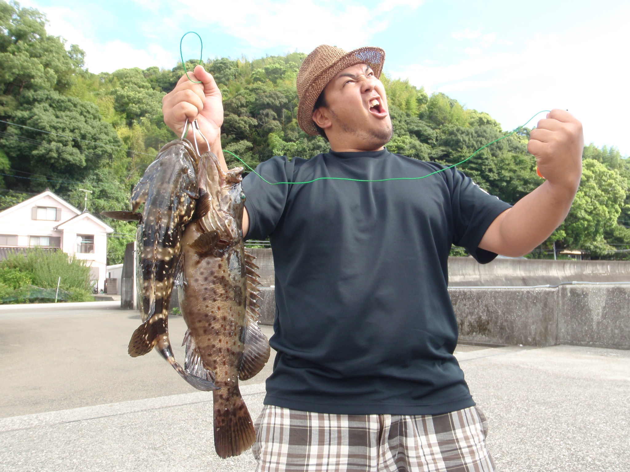 アカメ
