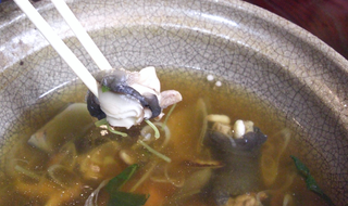 3月23日（水）はすっぽんの日