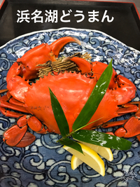 9月16日の記事 2017/09/16 15:49:20