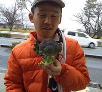 ブロッコリーの収穫開始 2013/02/06 14:26:56