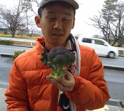 ブロッコリーの収穫開始