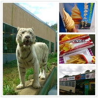 リゾート半島伊豆の旅３ 2012/09/21 11:38:43