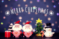 クリスマスイヴ 2021/12/24 16:33:05