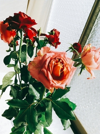 2周年 2022/04/03 13:55:08