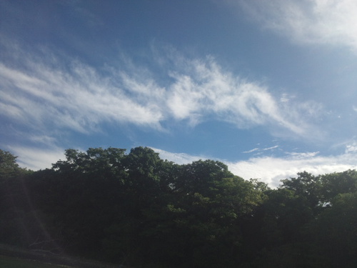 浜名湖に癒される