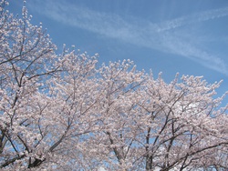 春の不調解消～こころとからだをゆるゆるに～