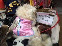 社員旅行　in　横浜　 2016/04/12 21:50:44