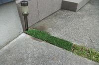人工芝 2018/05/03 12:46:58