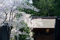 法多山へ 2019/04/07 20:21:26