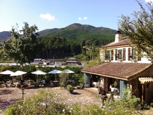 奥山へドライブ＆ランチ