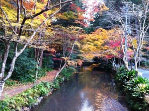 紅葉狩り