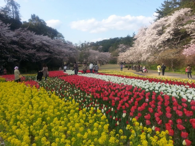 はままつフラワーパーク