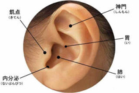 耳つぼってダイエットでしょ?!いえいえ違います（笑）