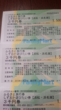しずおか遊びたい券 2016/01/22 14:13:30