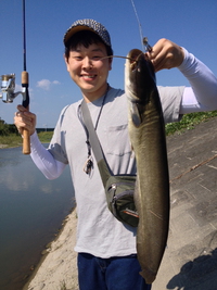 鯰をつりました。 2014/09/23 18:35:11