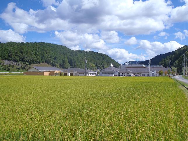 診療所初秋