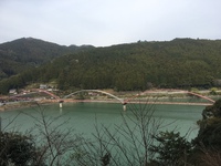 春光うららかな・・・!(^^)! 2016/03/30 11:42:41