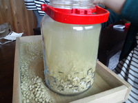 発酵部活動報告 2014/06/09 20:43:57