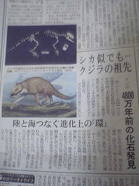 これがクジラの祖先？ 2007/12/21 23:30:48