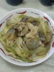 海鼠（ナマコ）　お正月用