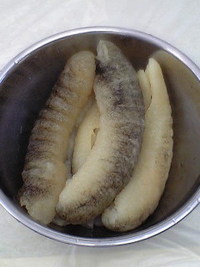 海鼠（ナマコ）　お正月用