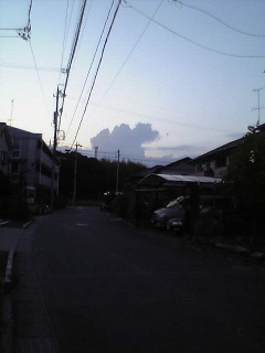 象が、空を