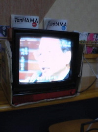 本当の寿命って何年？