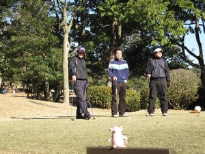 恒例のかっ飛び杯が・・・