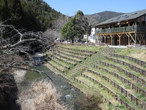 ３．２８は朝から・・・・・