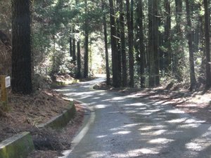 ３．２８は朝から・・・・・・