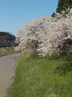 東北地方はまだ…