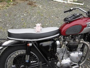 ３．２８は朝から・・・