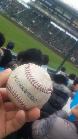 今年は…